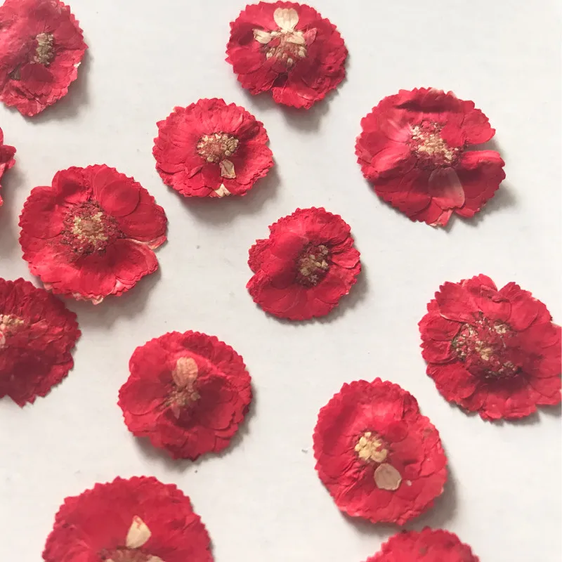 Red-2