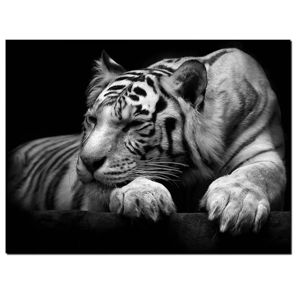 New-Modern-Wildlife-Wall-Painting-Animal-Black-and-White-Tiger-Poster-Paint-on-Canvas-Home-Decor (4)