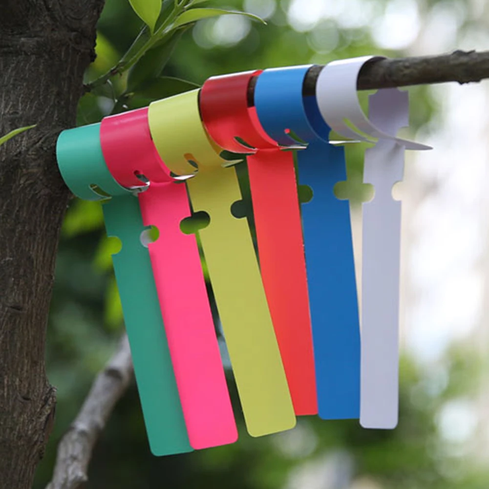 100pcs Garden Hanging Plant Tags Fruits Signs Prompt Card Classification Labels 