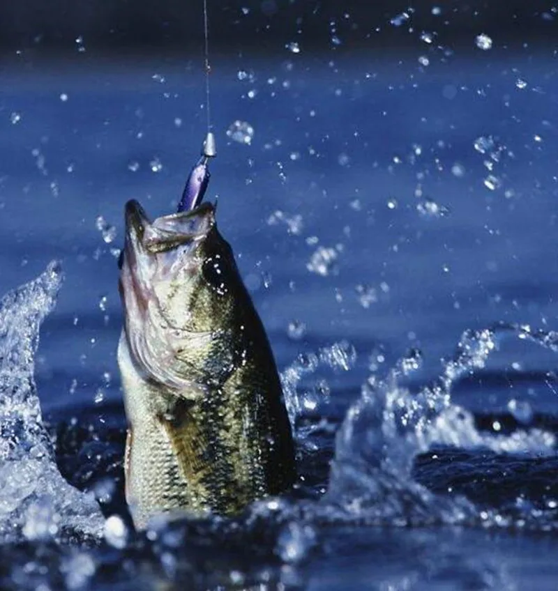 Vara de Pesca de Fibra de Carbono Regulação de Potência m de Pesca Fiação Fundição Rotate & 1.8 2.1 Telescópica Engrenagem m 1.6 17 Esporte e Lazer
