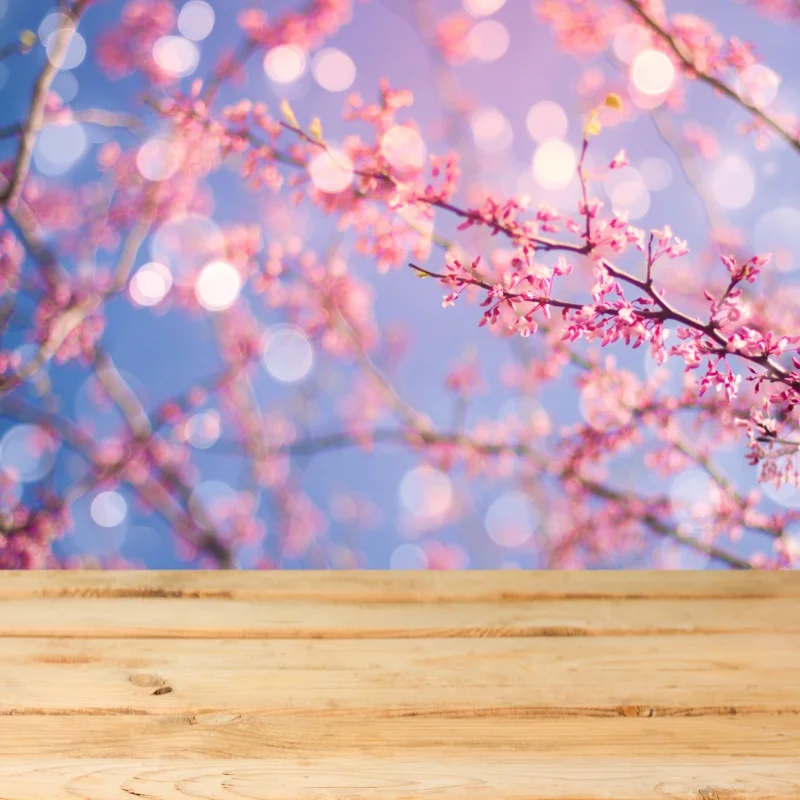 

Laeacco Spring Blooming Flowers Light Bokeh Baby Child Photography Background Customized Photographic Backdrop For Photo Studio