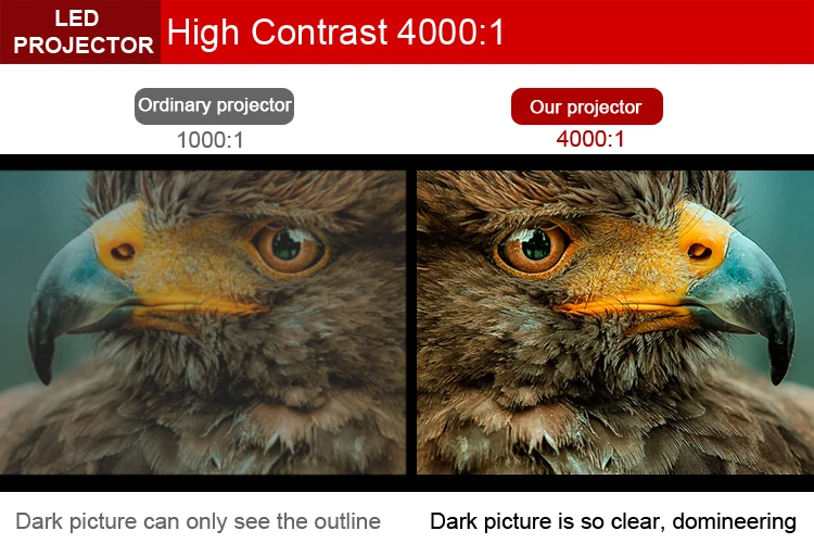 highcontrast