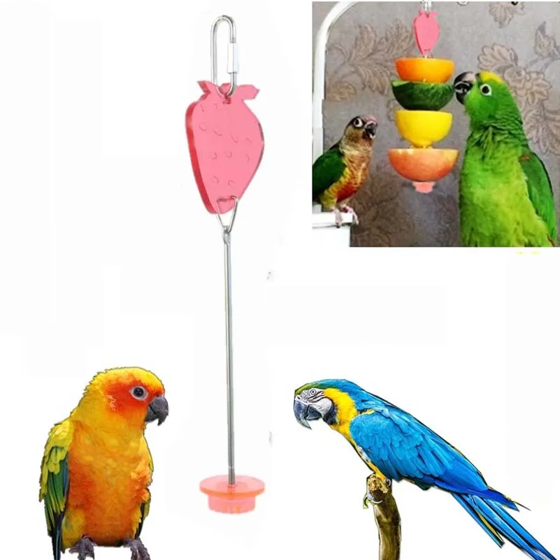 Фруктовый бар из нержавеющей стали Parrot фруктовая вилка шашлык палочка для мяса