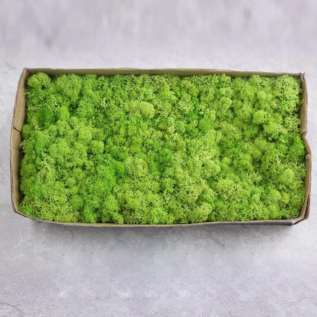 Colorful Artificial Moss Plant DIY Dried Reindeer Moss Floral Crafts Flowers for Plant Pot Garden Home Wedding Decor