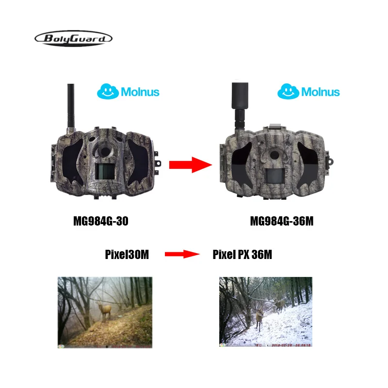 BolyGuard MG984G-36M Hunting Camera 4G 36M 1080P HD Wildlife Camera MMS EMS Waterproof Wireless Trail outdoor