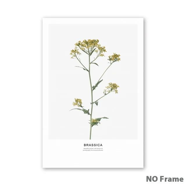 Simple-Nordic-Flower-Lotus-Brassica-Magnolia-Canvas-Art-Prints-posters-Living-Room-Wall-Pictures-Home-Decor.jpg_640x640 (2)