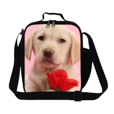 10 Hot marketing 2015 Fashion Waterproof insulated Picnic Lunch Bag Tote Print Organizer LunchBox