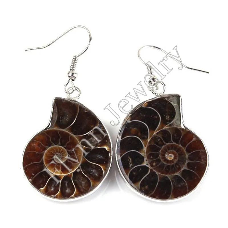 

Different Half Natural Original Ammonite Conch Fossil Dangle Earrings Charms Silver Plated European Retro Jewelry Gift 10Pairs