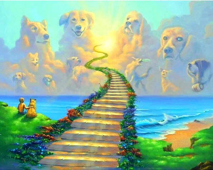5D рукоделие DIY Алмазная мозаика собака небеса Радуга мост вышивки крестом квадратная Бриллиантовая вышивка для дома Декор мозаика - Цвет: H