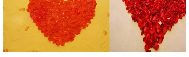 2640407434_855843664