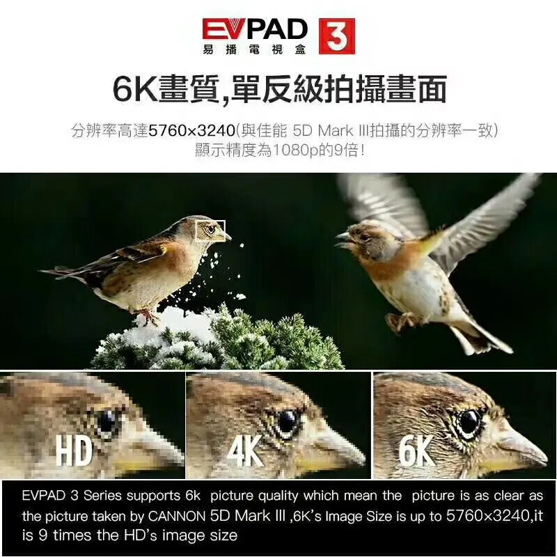 Новое поступление EVPAD3 Япония пожизненный Бесплатные IPTV Android 7,0 tv BOX 40 каналов и 1000 фильмов серийная драма EVPAD 3 медиаплеер