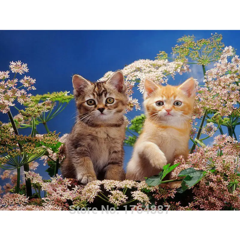 Needlework Diamond Painting Two Cute Cat  Diamond embroidery Flowers In The Cat  Square Diamond Animal Series Children Adornment