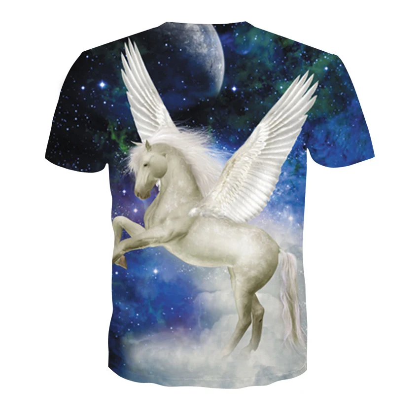 D-144--凯诚T恤短袖模板-后