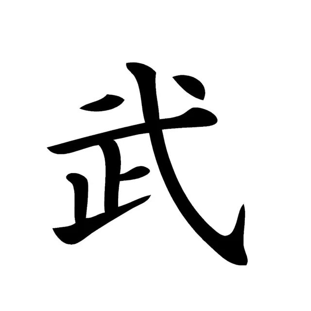 HotMeiNi 3 tamaños 13 colores artes marciales chinas Wushu Warrior Japón Karate Kanji coche