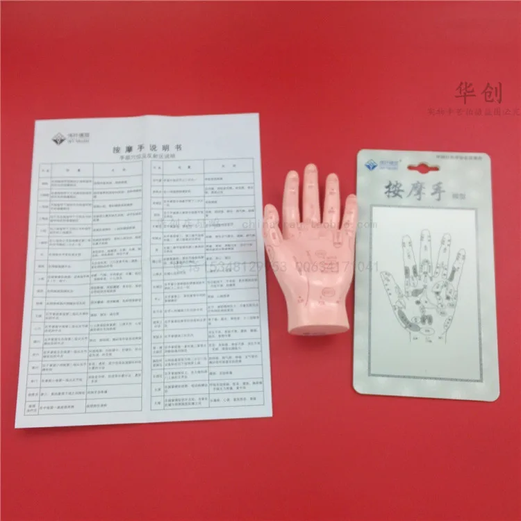 HD Human Acupuncture Palm hard Model Hand Medical teach Meridian Acupoint Model 15CM Traditional Chinese Medical Teaching Model HD Human Acupuncture Palm hard Model Hand Medical teach Meridian Acupoint Model 15CM Traditional Chinese Medical Teaching Model