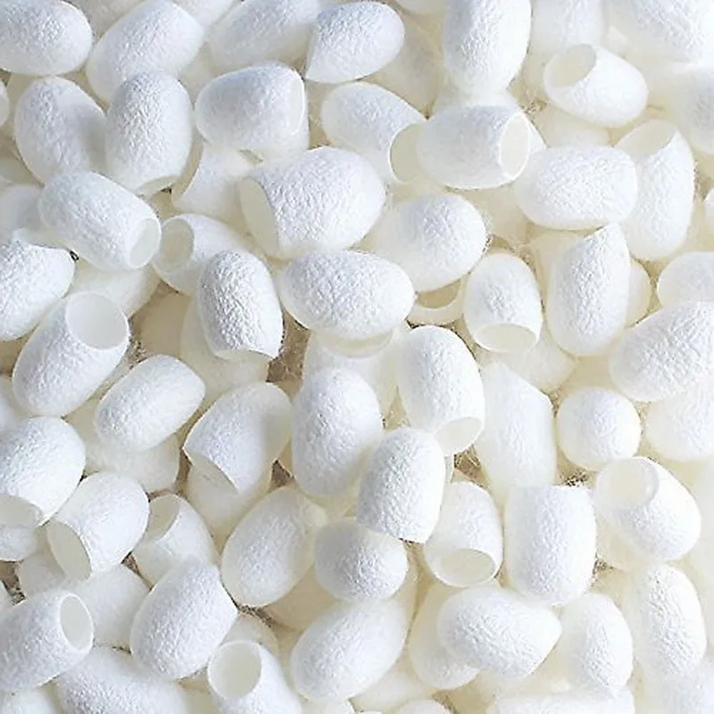 

High Quality 10Pcs Organic Natural Silk Cocoons Silkworm Balls Facial Skin Care Scrub Purifying Acne Anti Aging Whitening