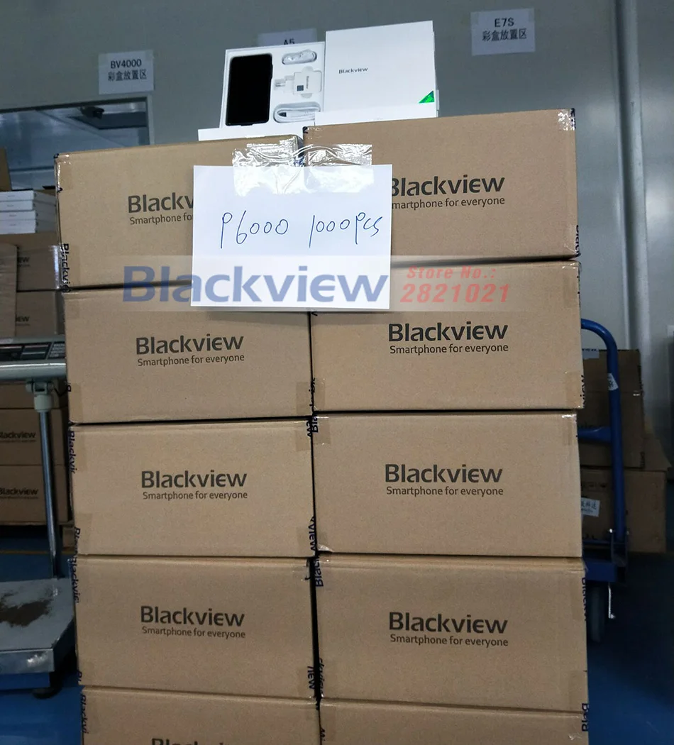 BV-P6000