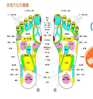 QQ20181110100608
