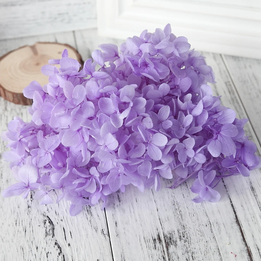 20g/lot High Quality Natural Fresh Preserved Flowers Dried Hydrangea Flower Head For Diy Real Eternal Life Flowers Material - Цвет: 21