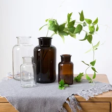 Стеклянные декоративные вазы для дома, бутылки для воды, украшения для гостиной, гербарий, прозрачная ваза