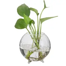 Модная Милая круглая стеклянная ваза с кронштейном, гидропонное стекло, ваза для цветов, украшения для дома, простой стиль, домашний декор