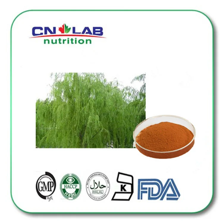 100% Pure White Willow Bark Extract/Salix alba bark extract 15% Salicin Extract of willow 1kg/bag