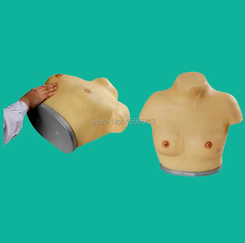 Advanced Inspection and Palpation of Breast Simulator, Breast Self examination Model Advanced Inspection and Palpation of Breast Simulator, Breast Self examination Model