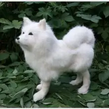 WYZHY моделирование собака самоед на день рождения подарок Рождественский подарок интерьера преподавания домой модель украшения к отправьте друзьям