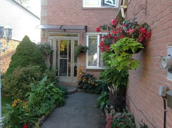 

DS80240, 80x240cm,silmply to install popular in canada freesky door canopy