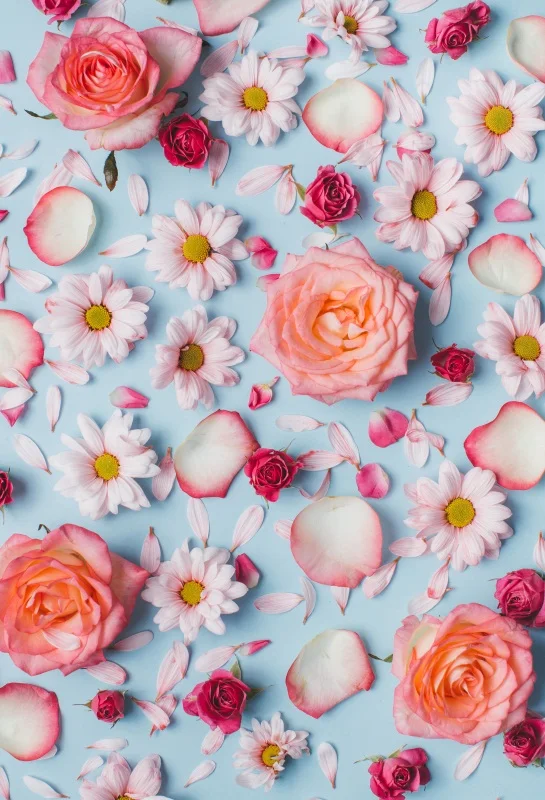 

Laeacco Flowers Petals Baby Newborn Photography Backgrounds Customized Photographic Backdrops For Photo Studio