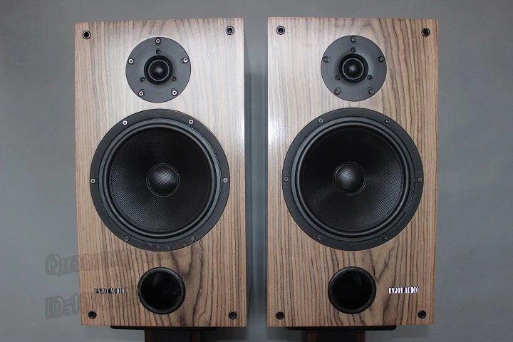 building bookshelf speakers