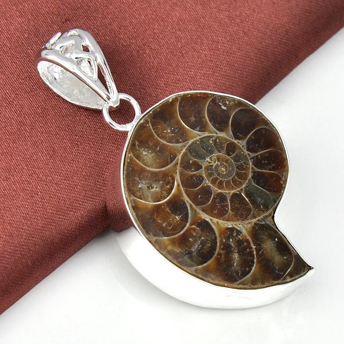 Top Jewelry Classic Special Fire Ammonite Fossil Gems Pendants for