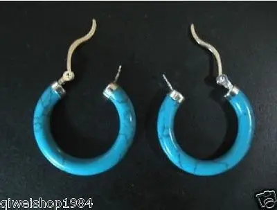 

Hot sale Free Shipping>>>>>>Brand New Turquoise Silver jewe Earrings Pair