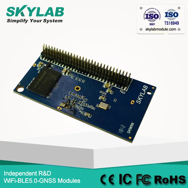 SKW99-SMT-04