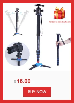 dianxiaobao