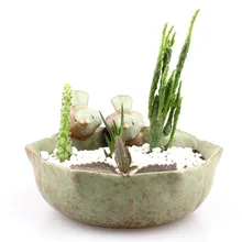 Bird Feeder Ceramic Succulent Plant Flower Pot Flowerpot Planter Small