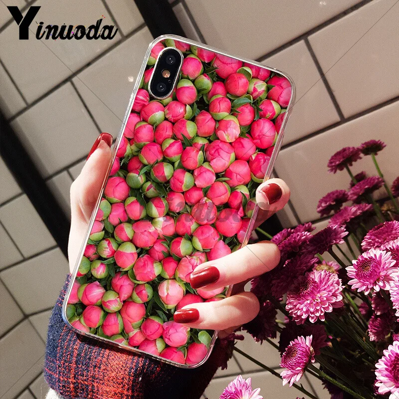 Flower Pink Peonies Peony