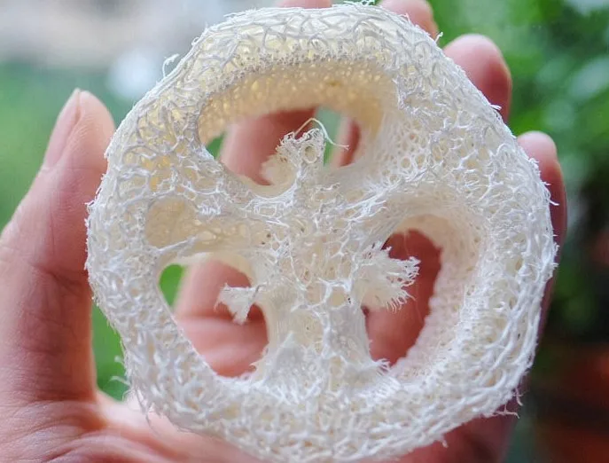 Over 7cm wide 100pcs/lotNatural Loofah Luffa Loofa Slice DIY customize soap tools cleanner sponge scrubber facial holder | Дом и сад