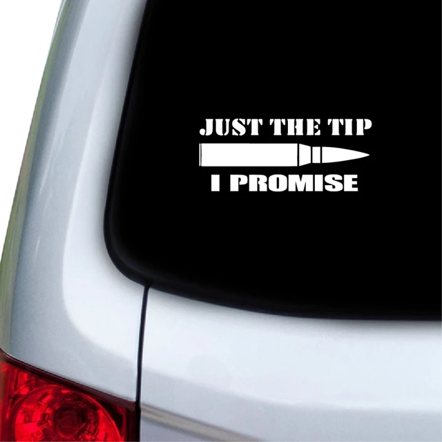Pro Gun Quotes Bumper Stickers