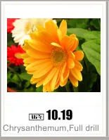 AeProduct.getSubject ()