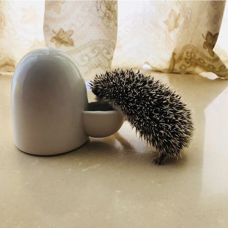 

Small Animal Automatic Ceramic Water Bottle Silent Little Pet Drinking Bottle Food Dispenser For Bird Hedgehog Hamster Small