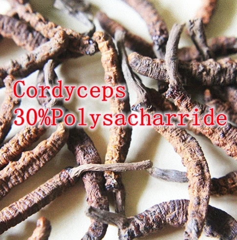 

Hot sale! 10Bottles Cordyceps-30%Polysacharride 500mg x 900caps free shipping