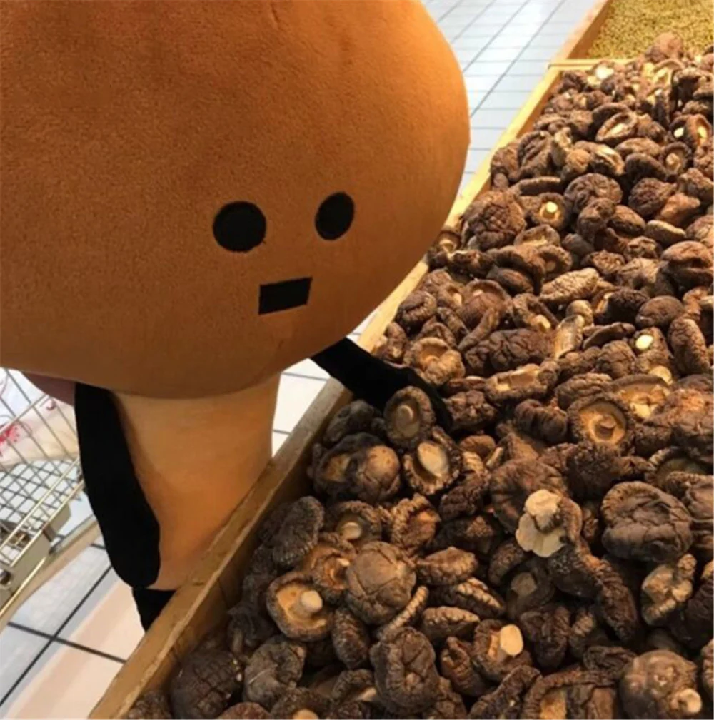 Fancytrader Big Funny Plush Vegetables Mushroom Toys Cuddly Soft Stuffed Anime Dolls 60cm for Boys and Girls 6