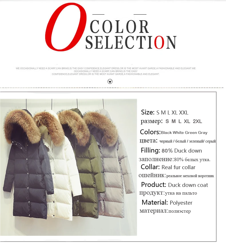 HTB1K62XSpXXXXcEXFXXq6xXFXXX2