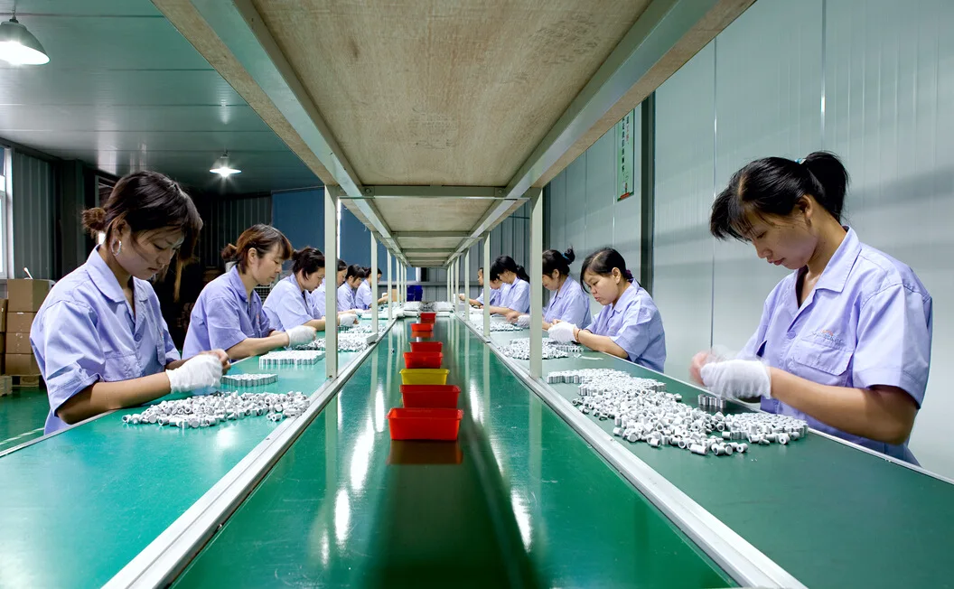 PACKING LINE 01