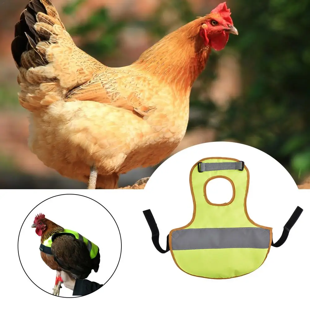 

Pet Reflective Vest Chicken Clothes Poultry Hen Saddle Apron Feather Protection Holder For Chicken And Duck