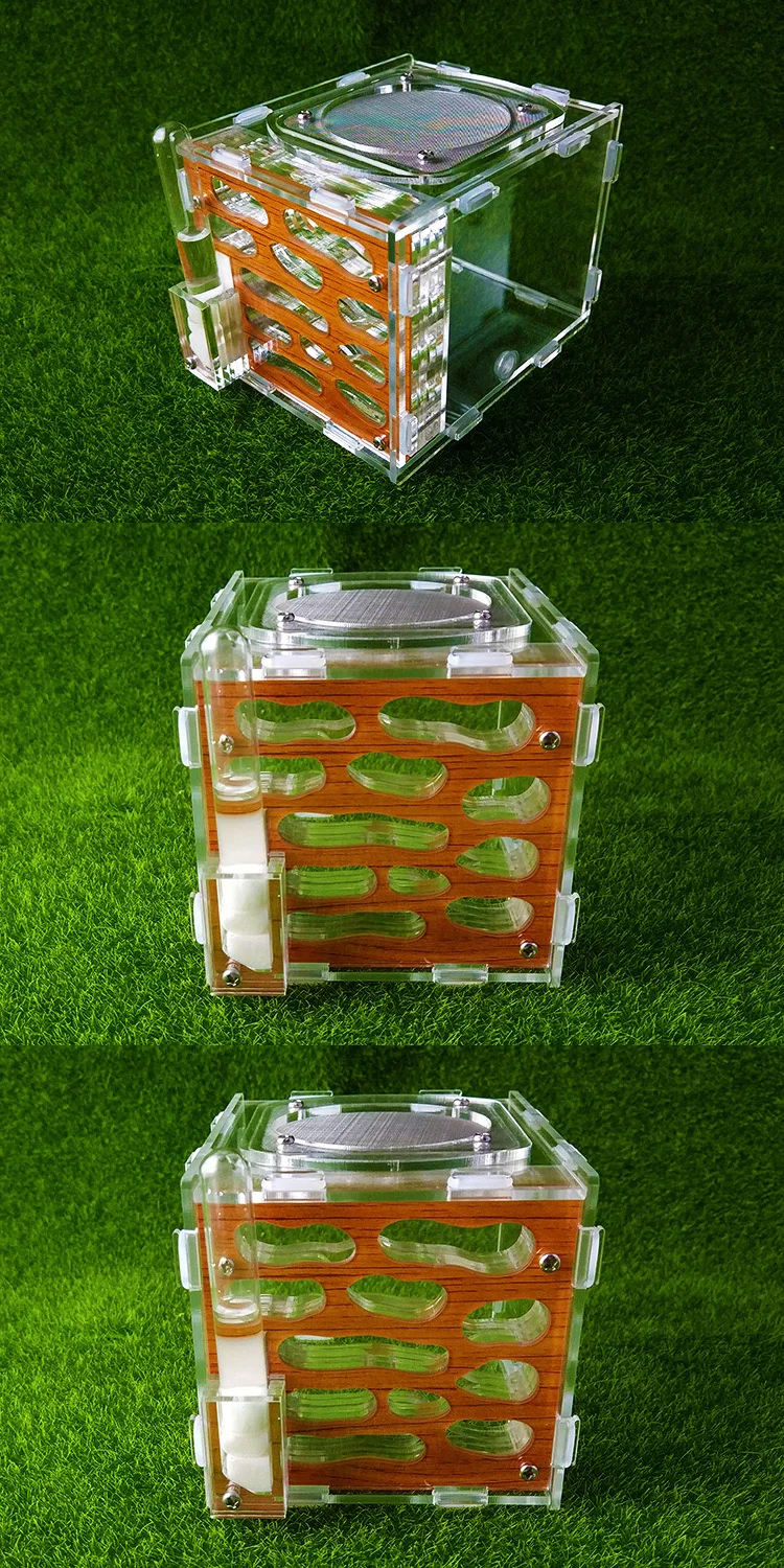 ant-nest (3)