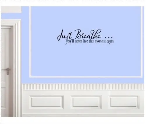 2014 New Rushed for Wall Solid Plastic Just Breathe You'll Never Live This Moment Again Vinyl Lettering Sticker... | Дом и сад