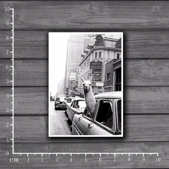 

Cute Retro Alpaca Scrapbooking Stationery Graffiti Sticker Decor For Ablum Diary Scrapbookin Laptop School Supplies[Single]