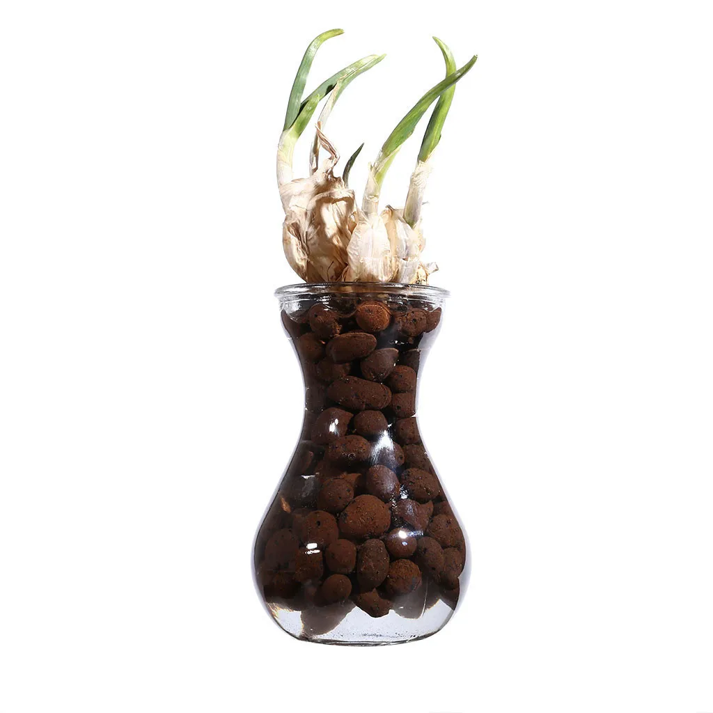 Органическая керамзитовая галька для выращивания медиа орхидеи Гидропоника аквакультура садовые цветы посадка почвы семена растений инструмент 4L